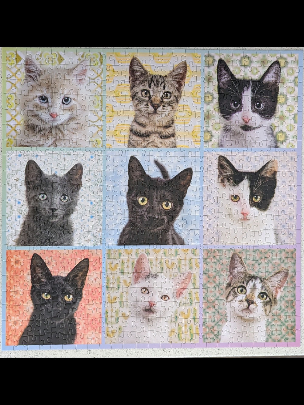 Multicolor Cute Kittens Jigsaw Puzzle - Charming Cat Portraits